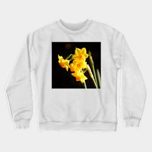 Johnquil by South Australian artist Avril Thomas Crewneck Sweatshirt